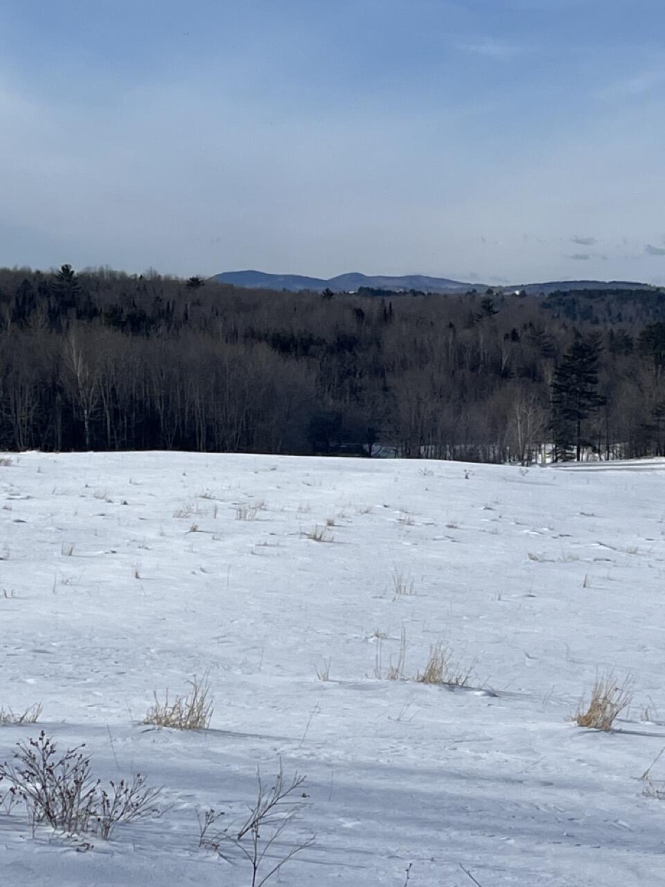 133 Rd Wilton Me 04294 Road Wilton, ME 04294 - Photo 11 of 19 rt133field1