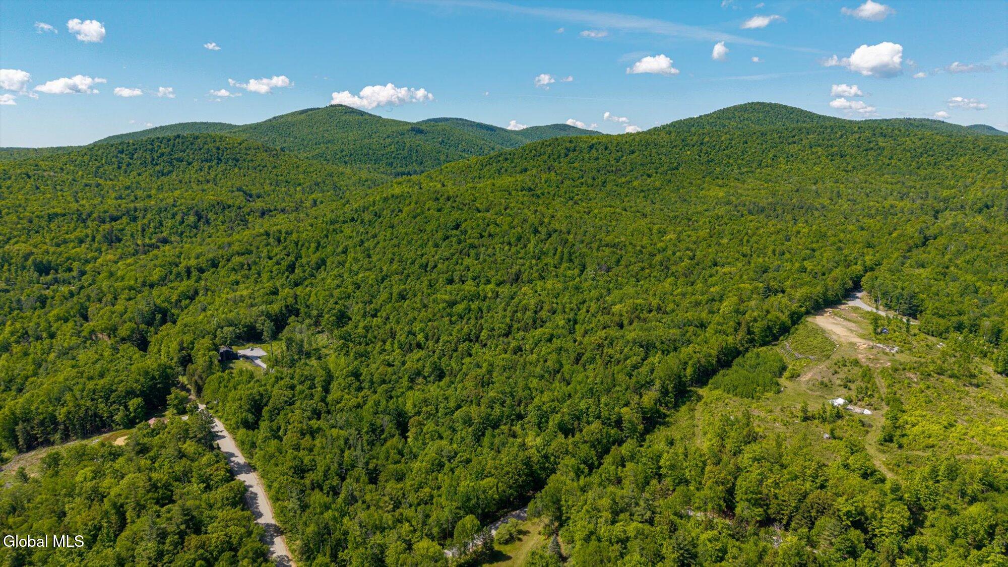 38 Henry Wescott Road Thurman, NY 12885 - Photo 38 of 38 13-ADK-13