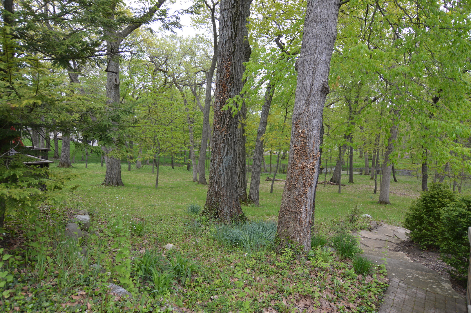 30353 Dowell Road McHenry, IL 60051 - Photo 26 of 34