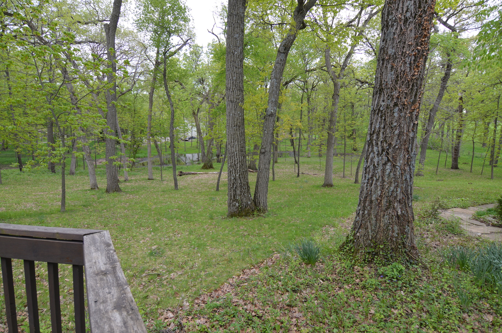 30353 Dowell Road McHenry, IL 60051 - Photo 27 of 34