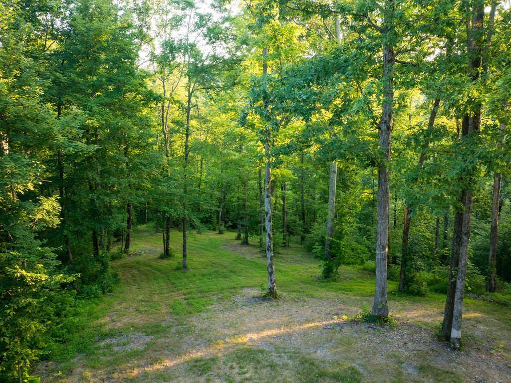 3809 Boston Theta Road Columbia, TN 38401 - Photo 68 of 74