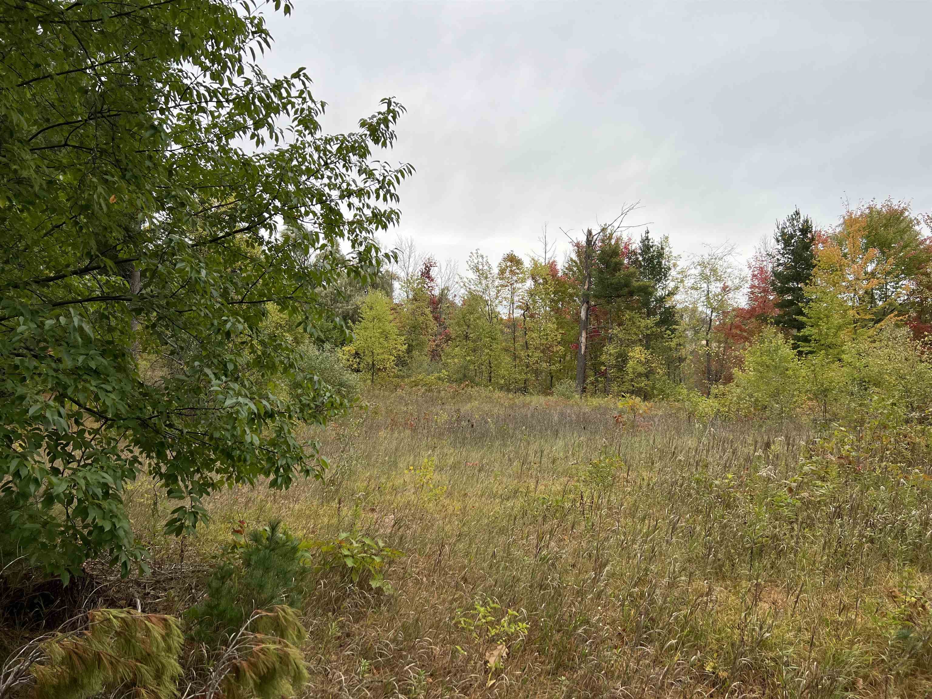 0 Bass Lake Road Traverse City, MI 49685 - Photo 4 of 11 1916755-3.JPG