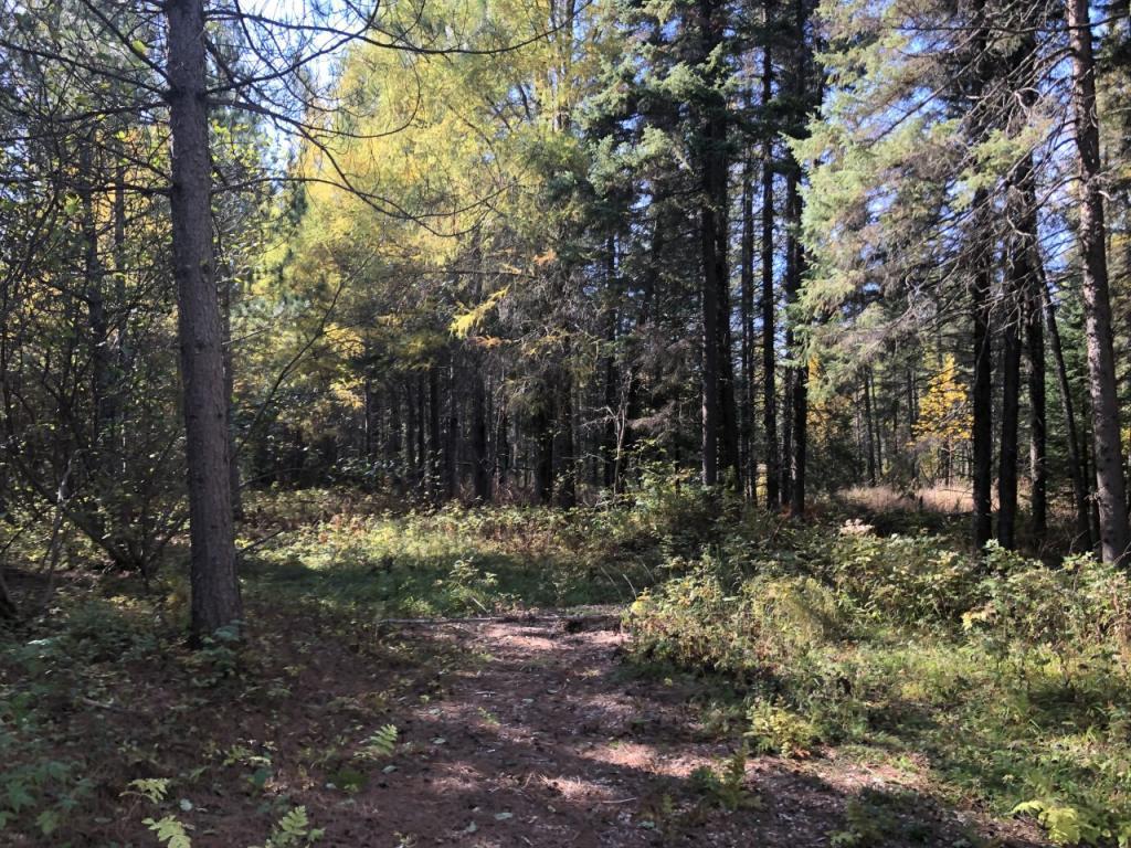 3997 Lost Lake Road Gilbert, MN 55741 - Photo 1 of 1