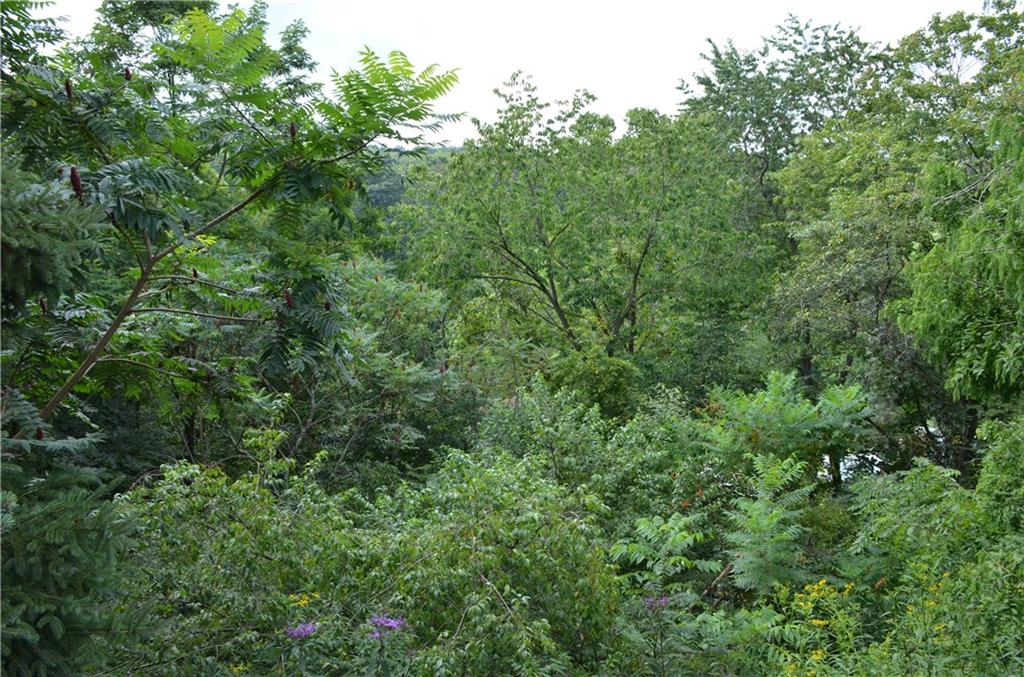 5 Hays Street Rural Ridge, PA 15075 - Photo 19 of 19 Woods provide privacy