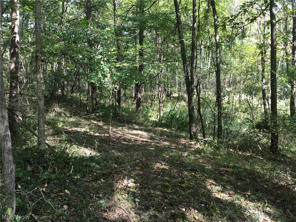 Stony Point Road Dover, OH 44622 - Photo 13 of 19 Gallery Image 13
