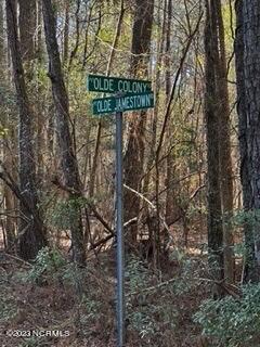 84 Old Jamestown Road Kinston, NC 28504 - Photo 2 of 4 07043F5D-912B-489A-B079-A0DF79BCCFBD_4_5