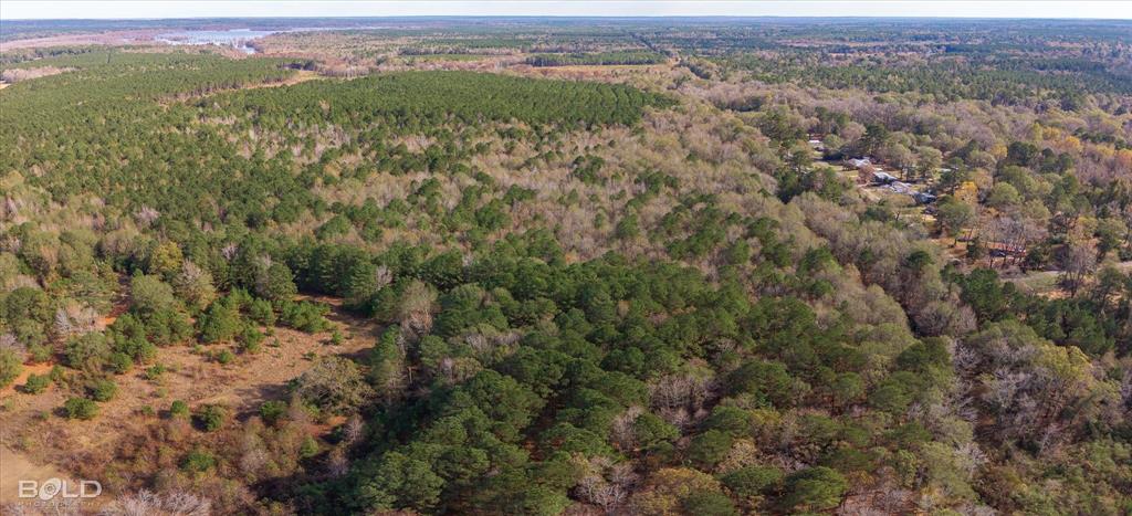 0 Camelia Street Vivian, LA 71082 - Photo 9 of 13 Aerial view of property and surrounding area