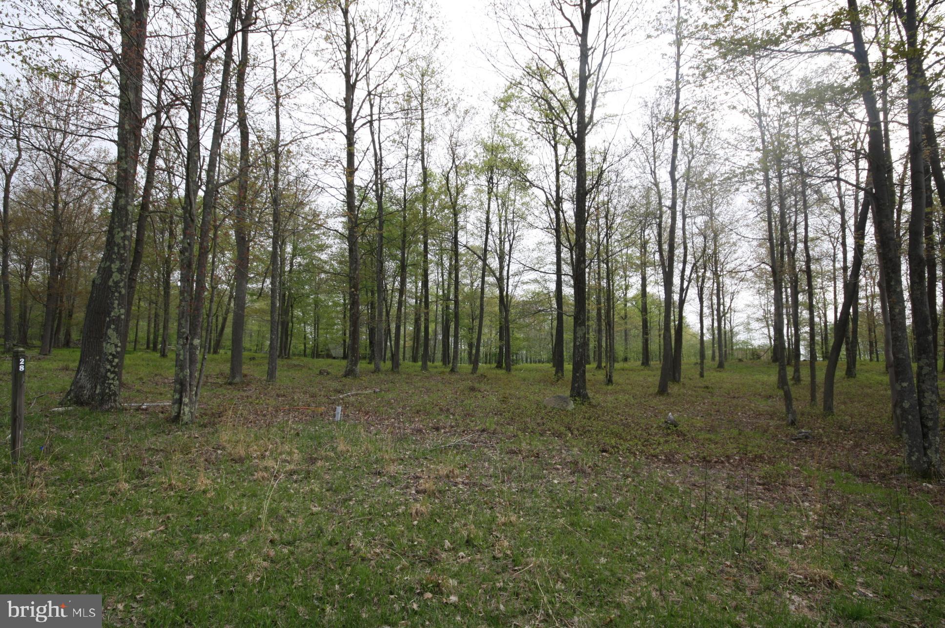 28 Fern Loop Oakland, MD 21550 - Photo 2 of 5