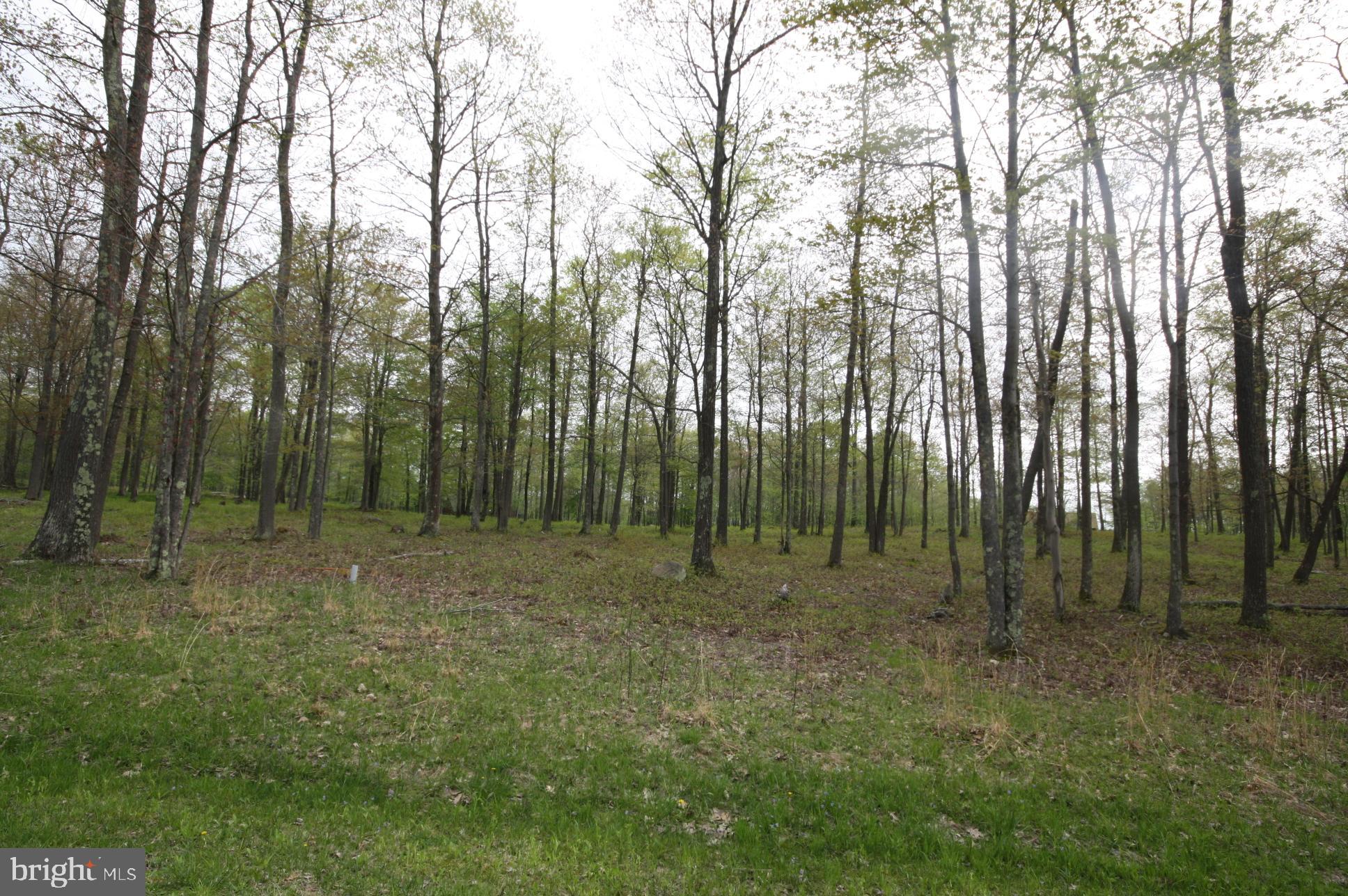 28 Fern Loop Oakland, MD 21550 - Photo 3 of 5