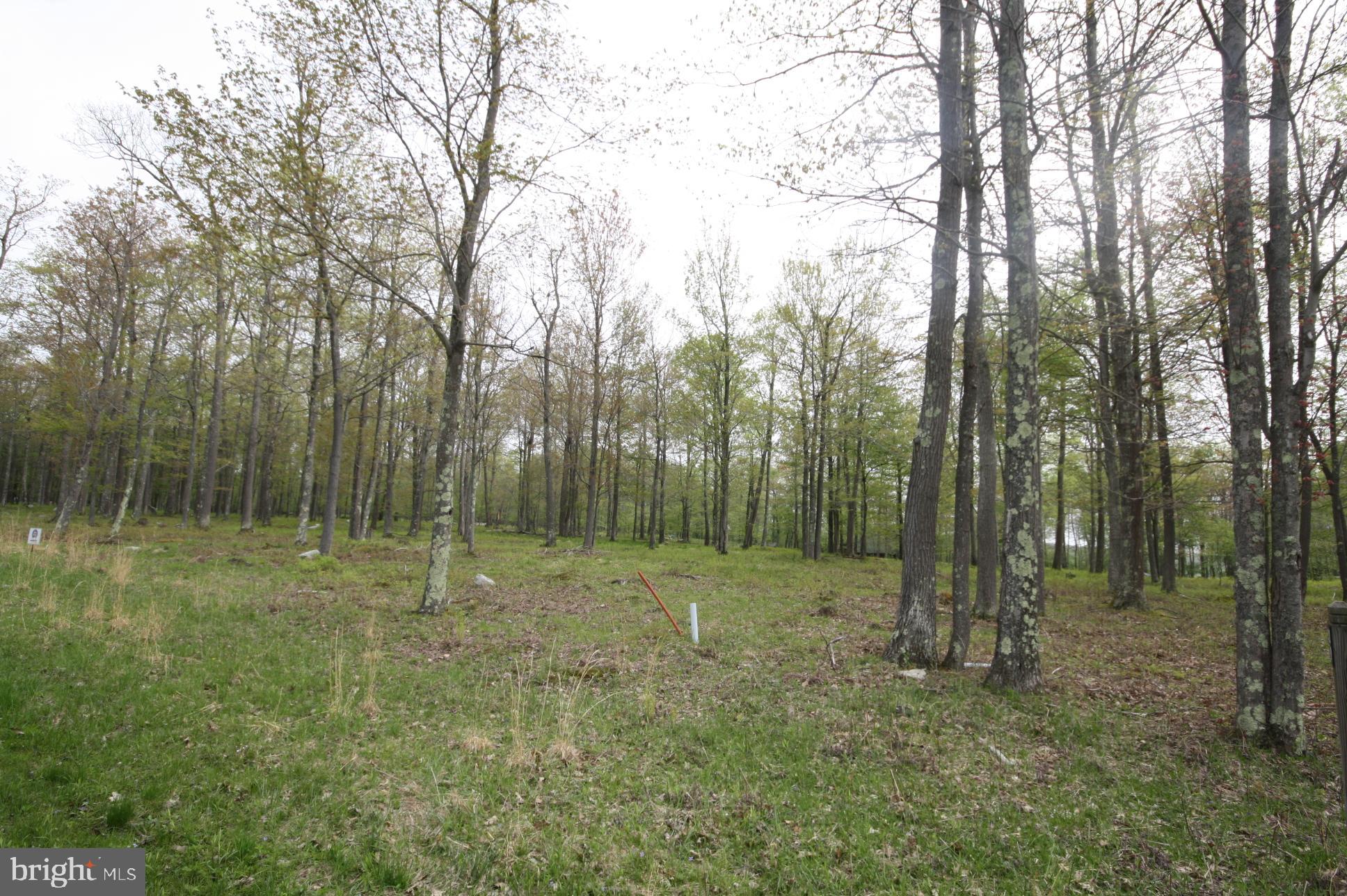 28 Fern Loop Oakland, MD 21550 - Photo 4 of 5