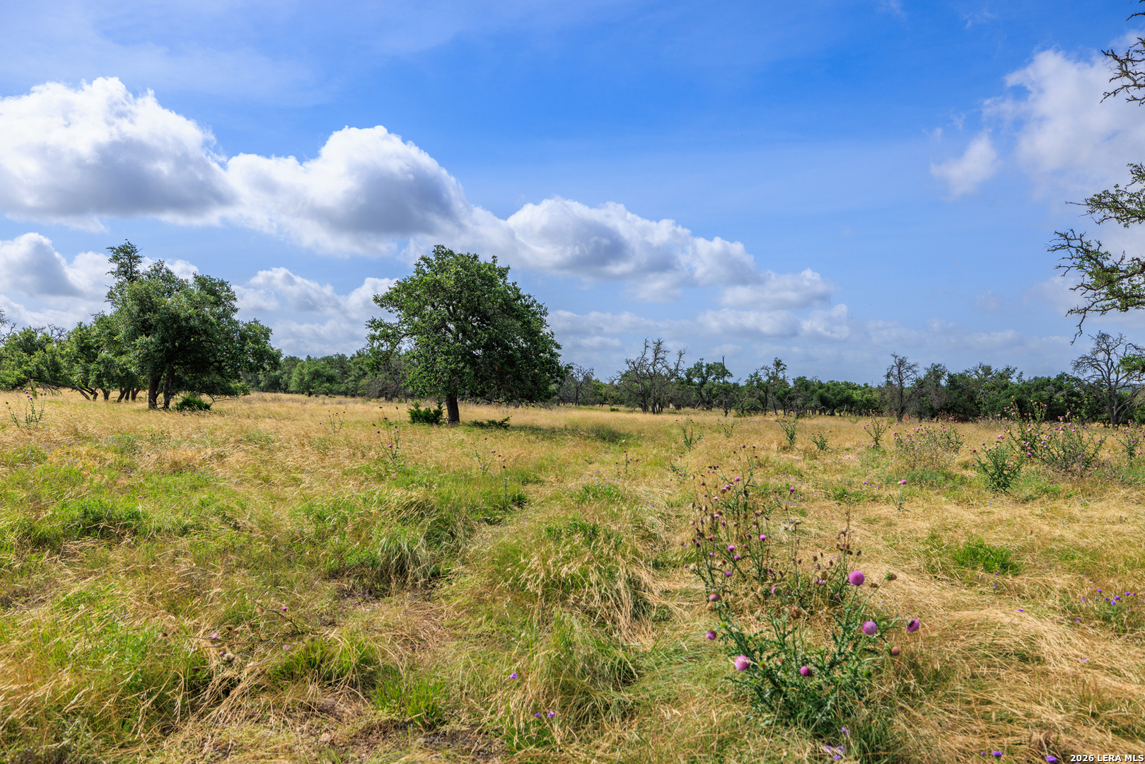 436 Stevens Ranch Harper, TX 78631 - Photo 16 of 29 Gallery Image 16