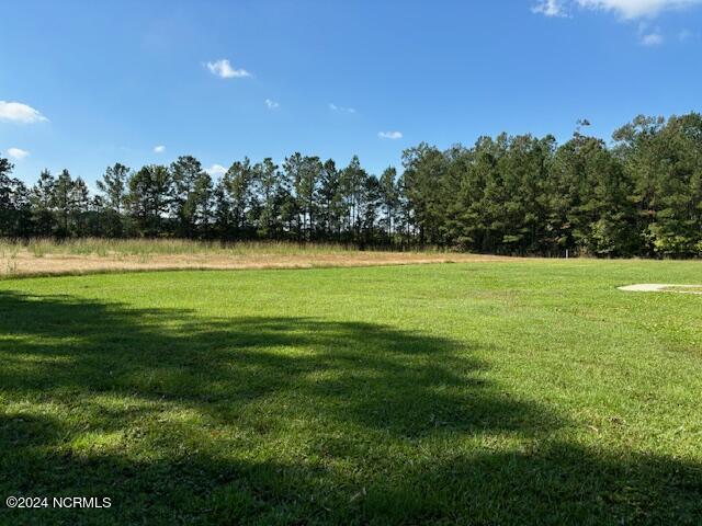 973 Forlines Road Winterville, NC 28590 - Photo 60 of 71 I understand you will see deer and out wildlife while sitting on the back deck.