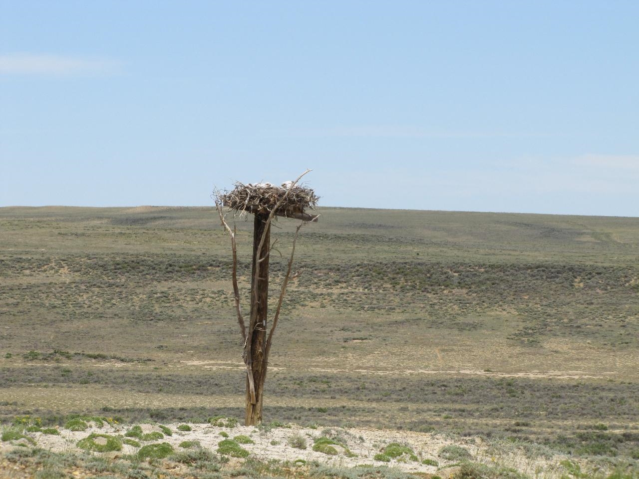 Shamrock Road Rawlins, WY 82301 - Photo 16 of 30