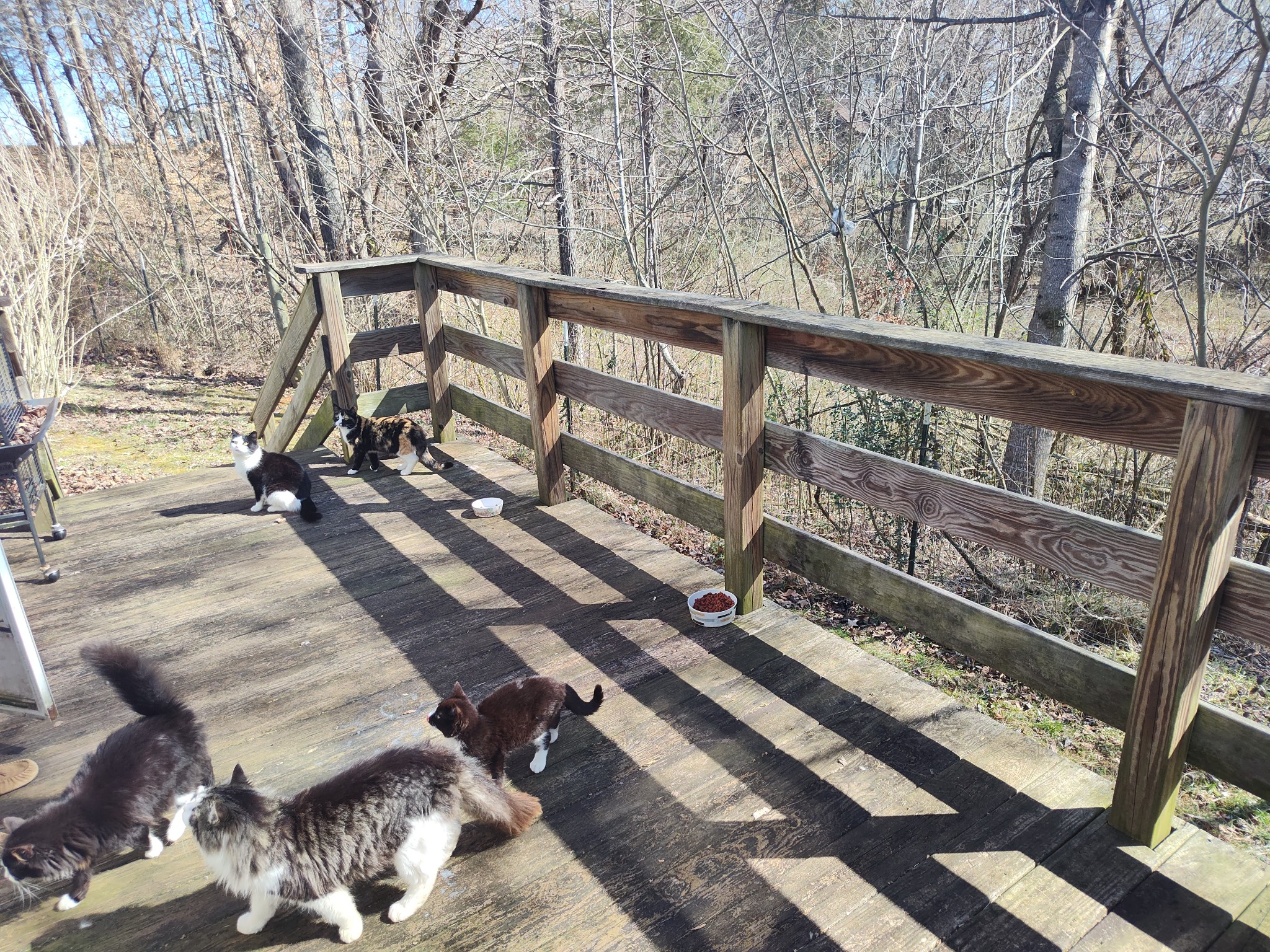 171 Webbs Camp Road Walling, TN 38587 - Photo 14 of 23 Gallery Image 14