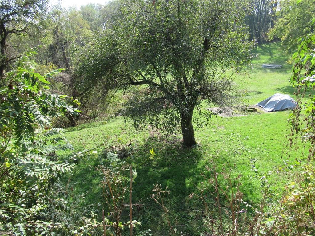 824 Geyer Road Pittsburgh, PA 15212 - Photo 20 of 21 a view out back without the snow