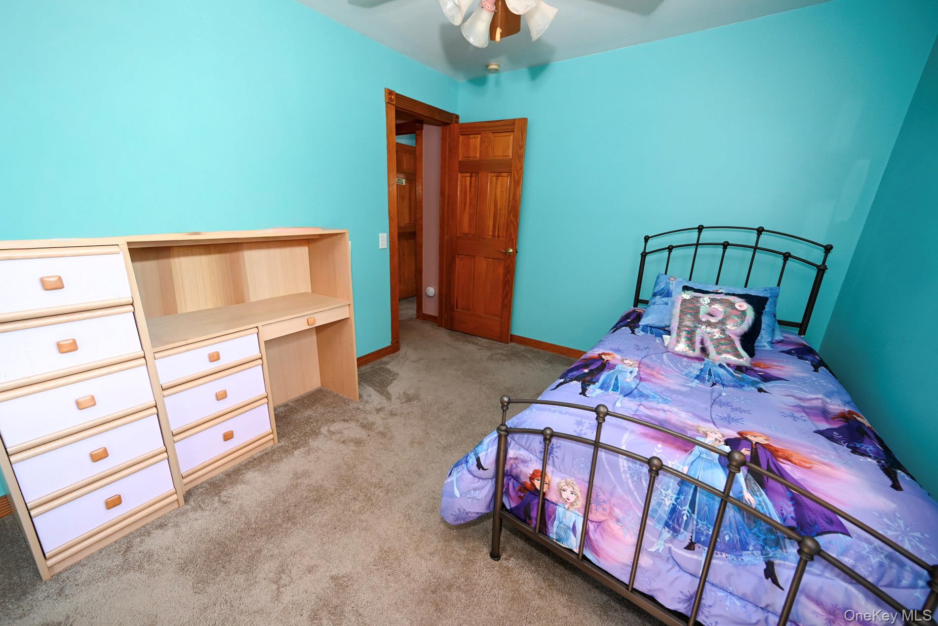 258 Rintin Street Franklin Square, NY 11010 - Photo 16 of 30