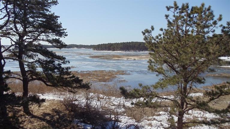 345 Pilgrim Spring Road Wellfleet, MA 02667 - Photo 17 of 18 a view of lake with mountain