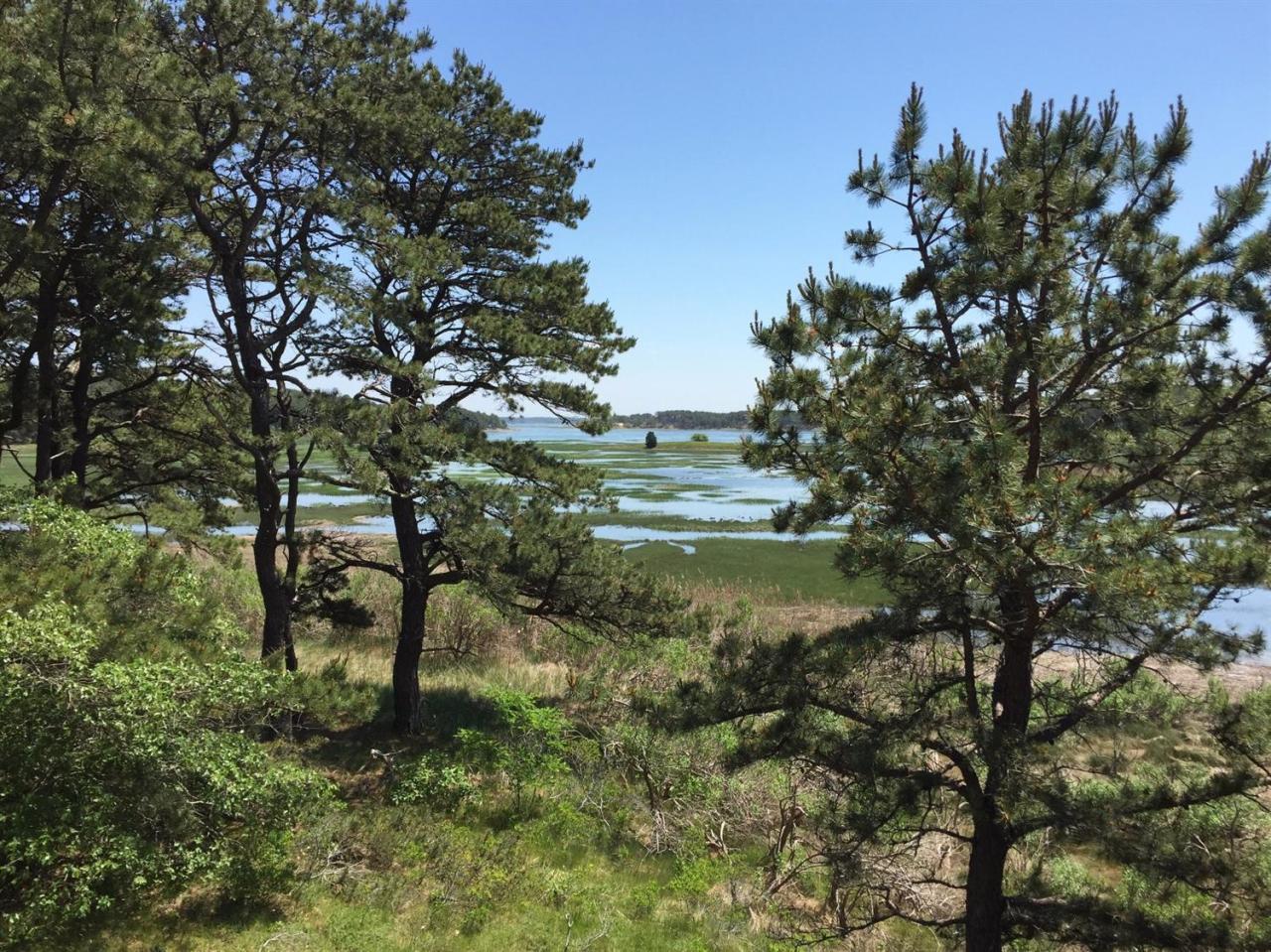 345 Pilgrim Spring Road Wellfleet, MA 02667 - Photo 18 of 18 a view of a lake with lots of trees
