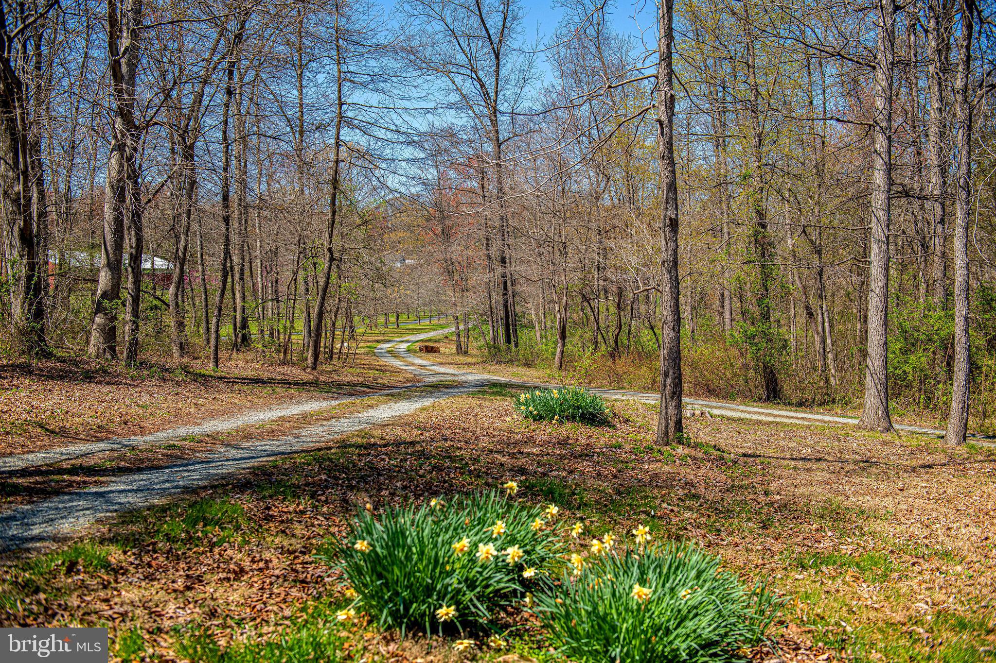 2015 Telegraph Road Pylesville, MD 21132 - Photo 2 of 67