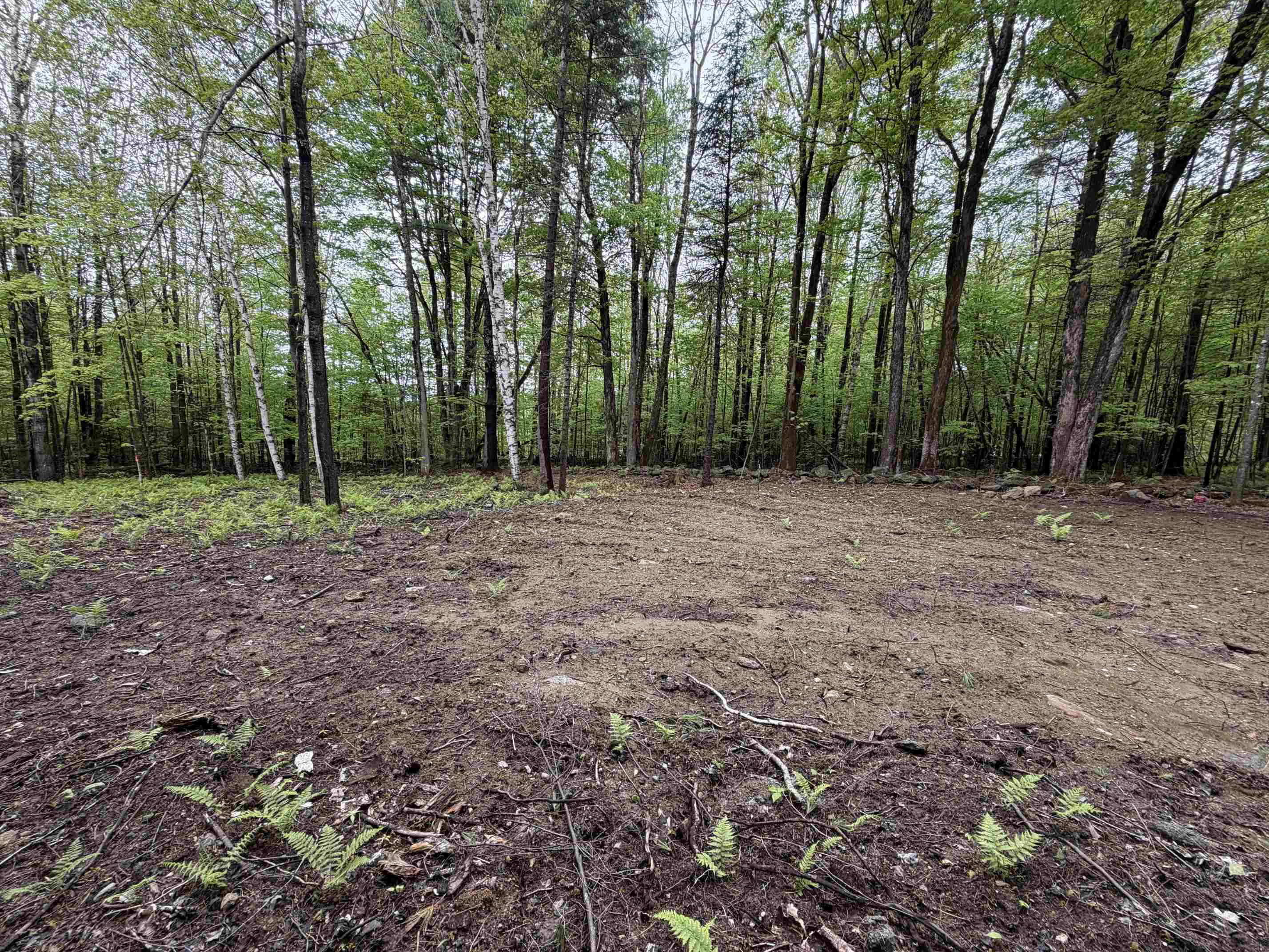 114 Lewis Hill Road Bethlehem, NH 03574 - Photo 5 of 12