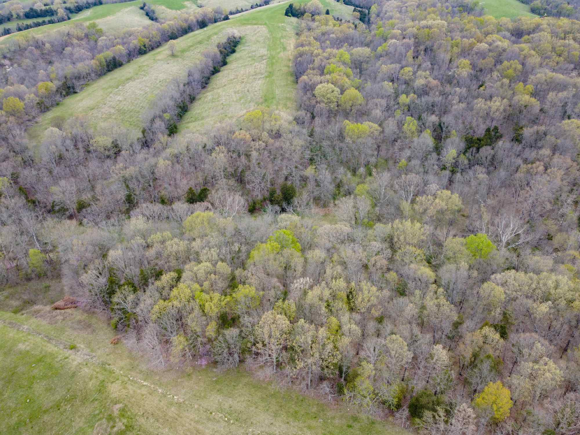 1840 Greenup Road Owenton, KY 40359 - Photo 39 of 48 Gallery Image 39