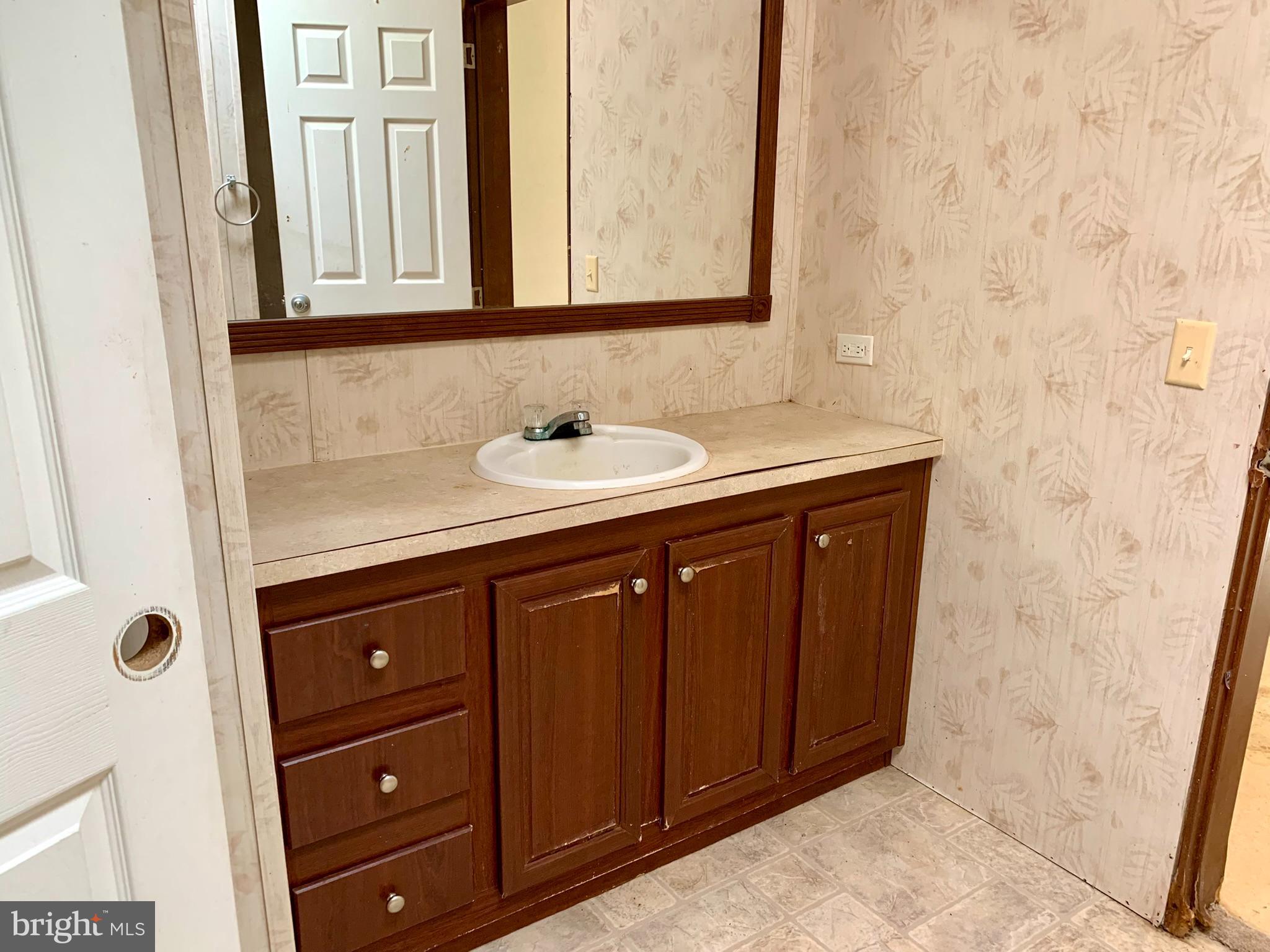 776 Pony Track Road Camden Wyoming, DE 19934 - Photo 12 of 18 a bathroom with a sink and a mirror
