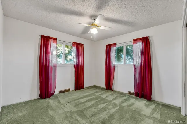 a view of a forest filled with trees