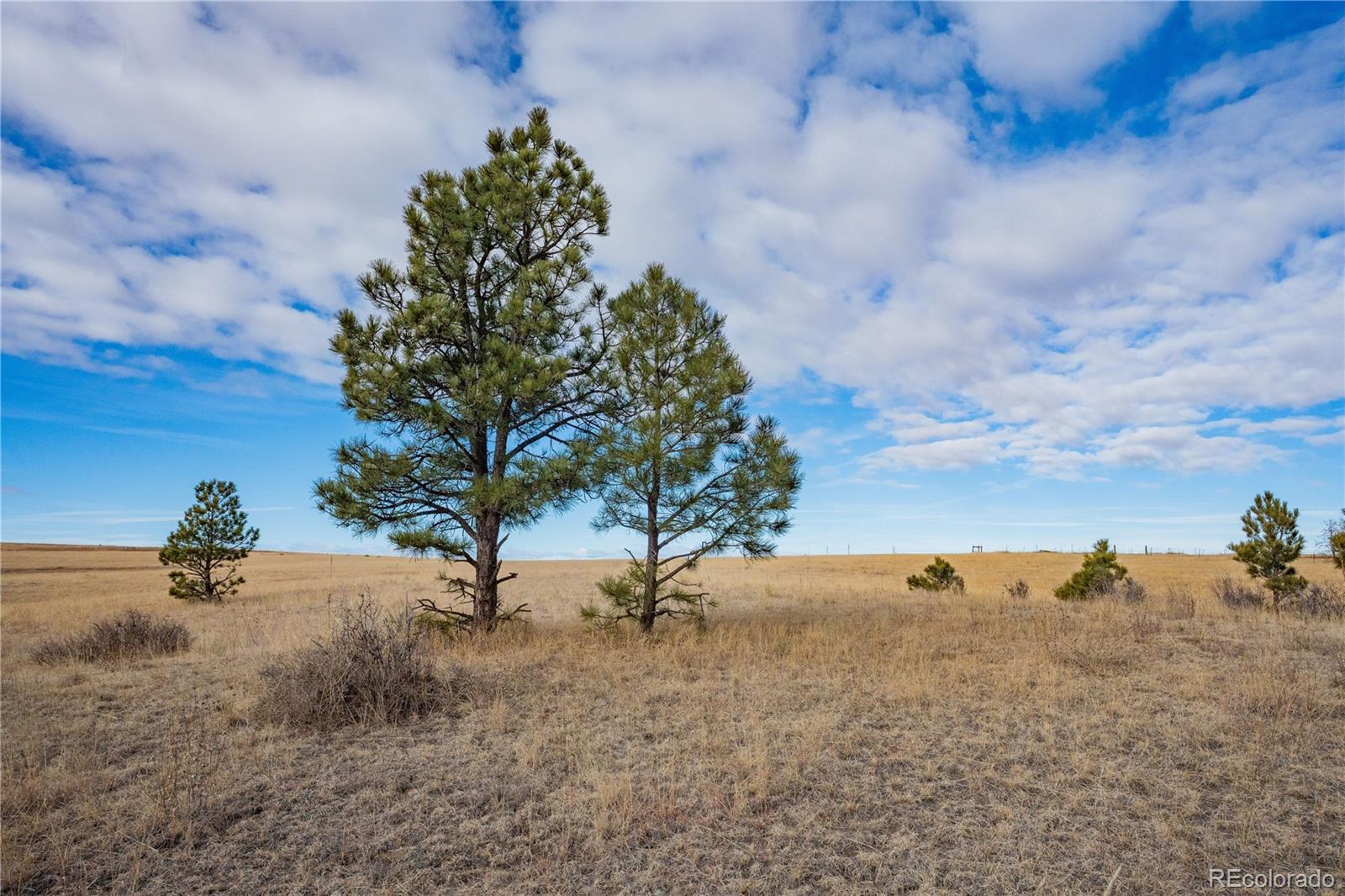 754 Highway 86 Elizabeth, CO 80107 - Photo 38 of 47 a view of outdoor space with garden view