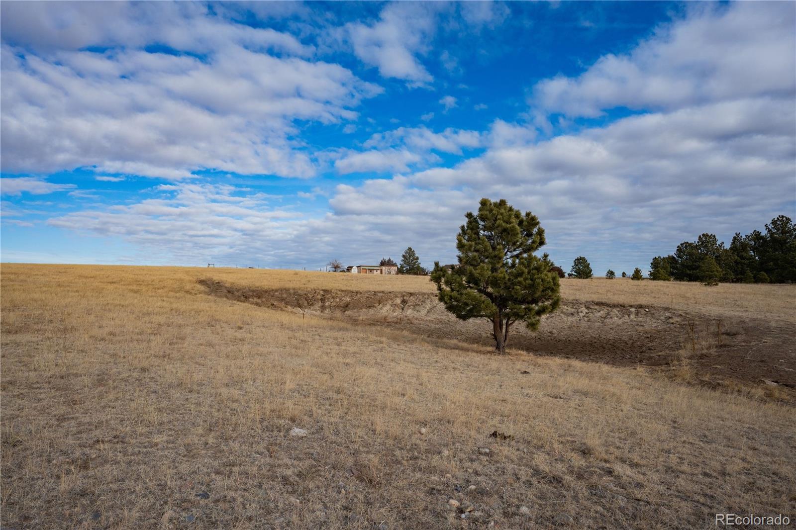 754 Highway 86 Elizabeth, CO 80107 - Photo 41 of 47 a view of a yard