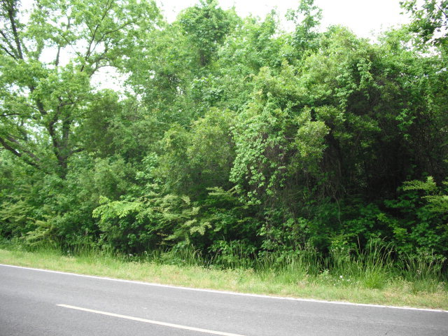 1 W Road Aurora, NC 27806 - Photo 3 of 3 Additional Photo