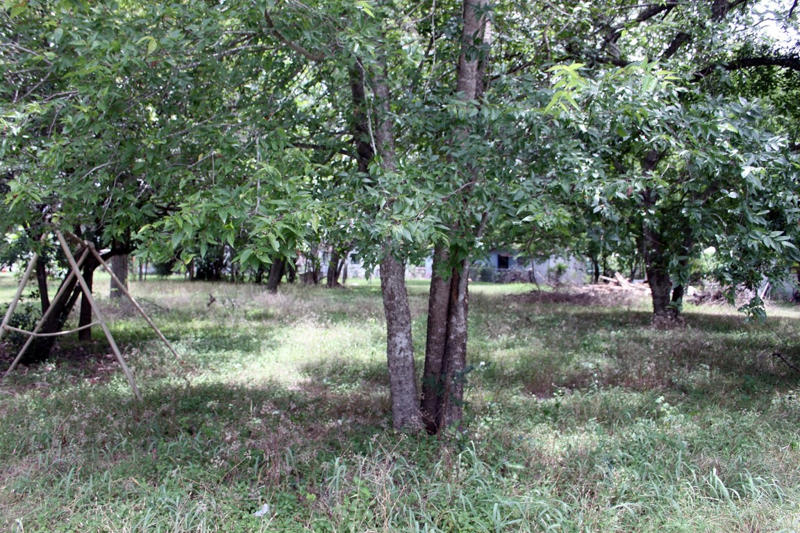 0 Laredo Street Lockhart, TX 78644 - Photo 2 of 6 a view of outdoor space and yard