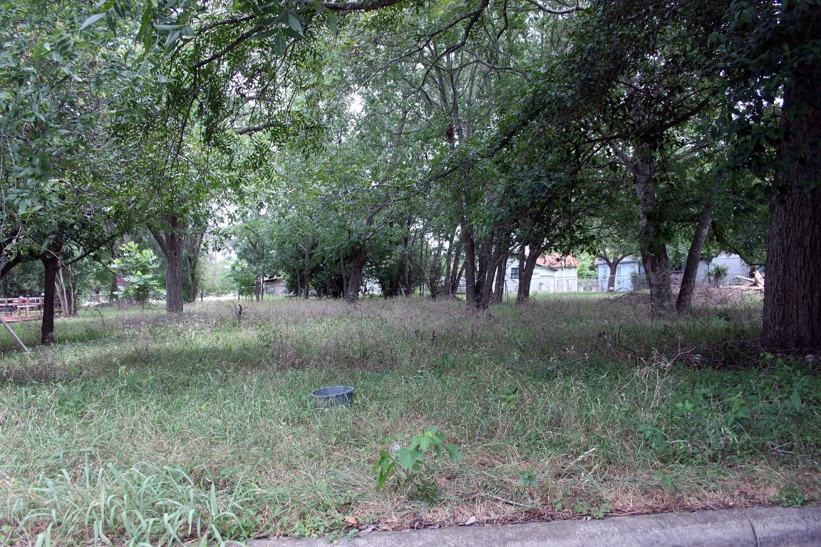 0 Laredo Street Lockhart, TX 78644 - Photo 3 of 6 a view of outdoor space and trees
