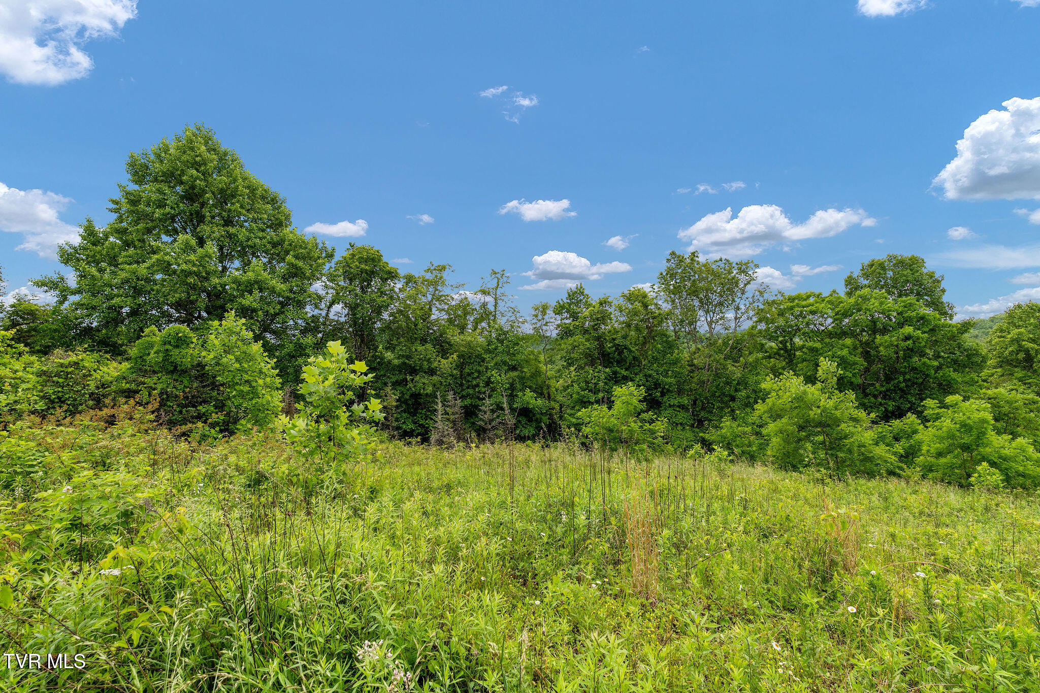 Tbd Walnut Mountain Road Butler, TN 37640 - Photo 20 of 36 DSC04457