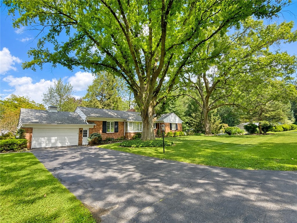 20 Briar Patch Road Rochester, NY 14618 - Photo 24 of 24 Gallery Image 24