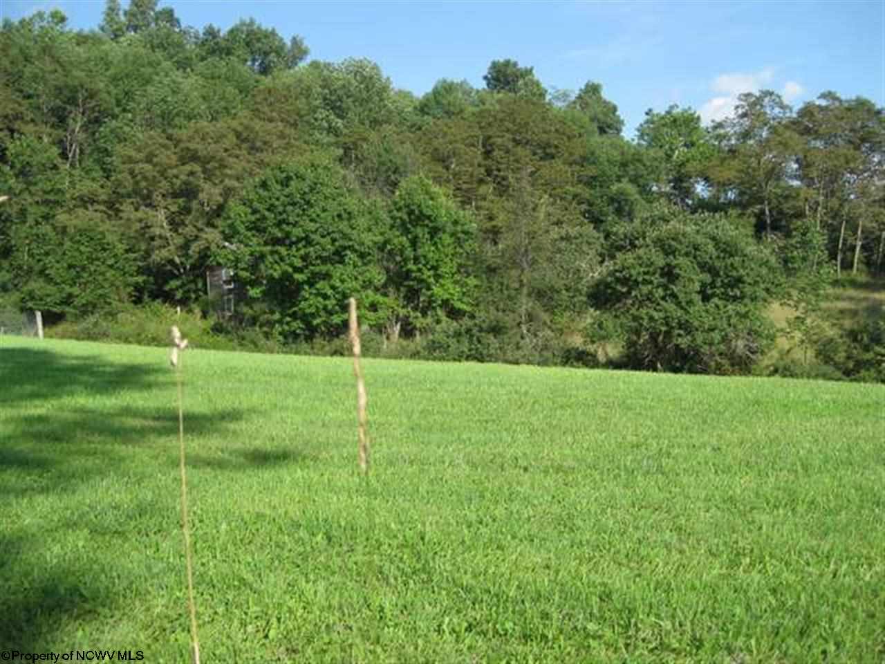 15691 Dry Fork Road Davis, WV 26260 - Photo 2 of 10 Gallery Image 2