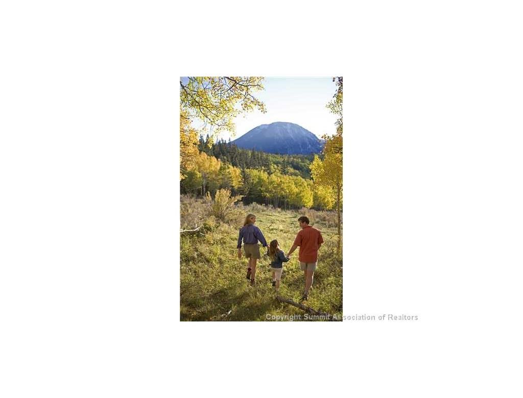 176 Angler Mountain Ranch Road Silverthorne, CO 80498 - Photo 11 of 15 Gallery Image 11