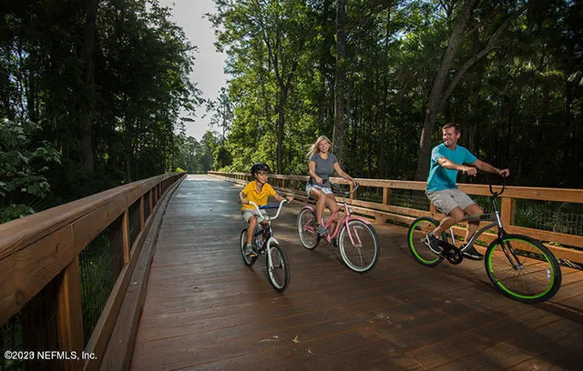a view of a backyard with palm trees