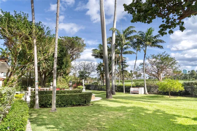 a view of a park with large trees