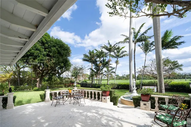 a view of a patio with a table and chairs potted plants and palm trees
