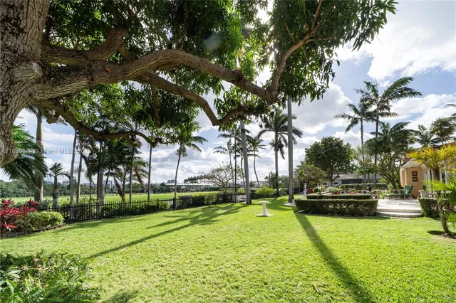 a view of a park with large trees