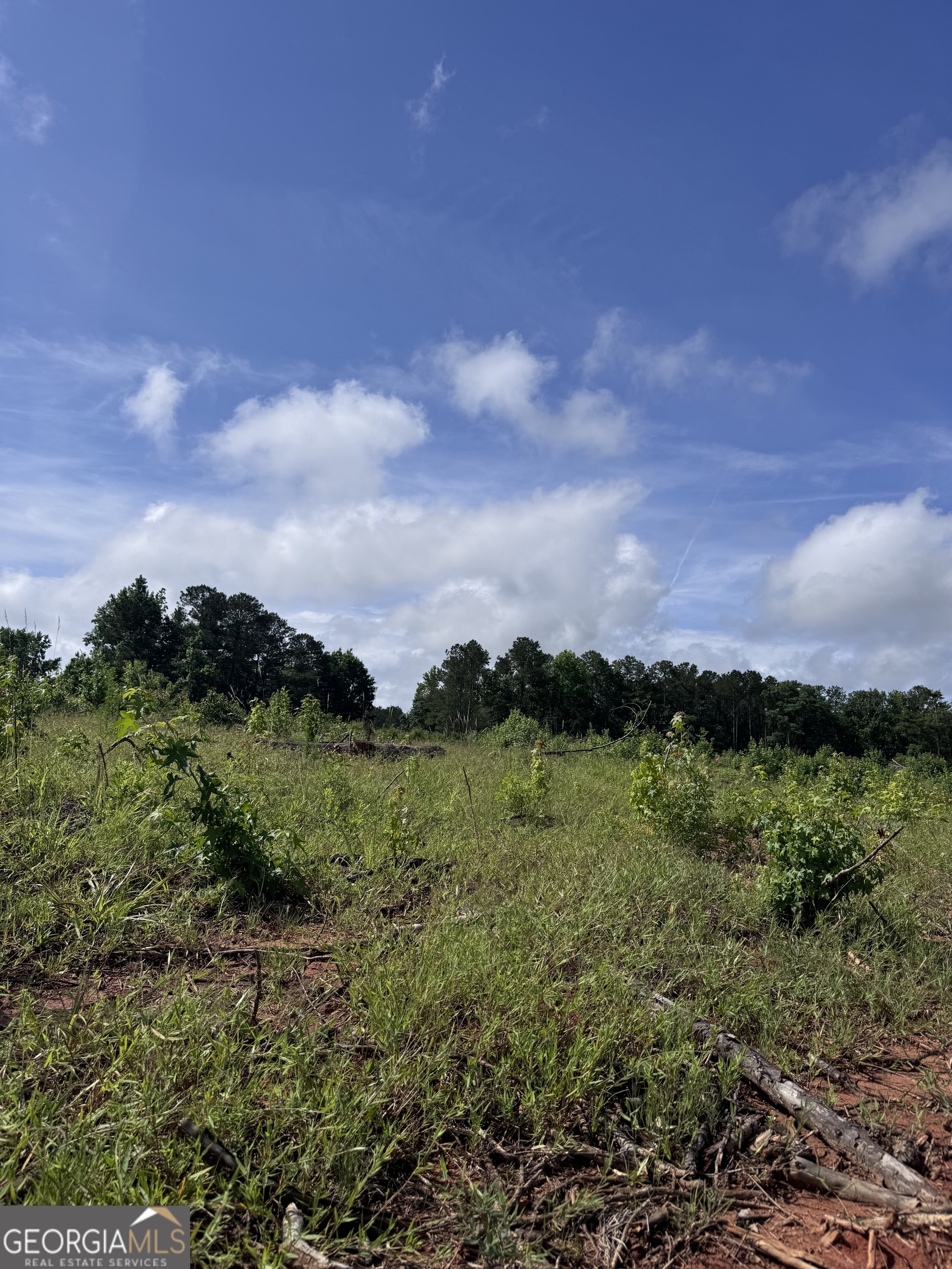 0 Po Biddy Road Thomaston, GA 30286 - Photo 7 of 15