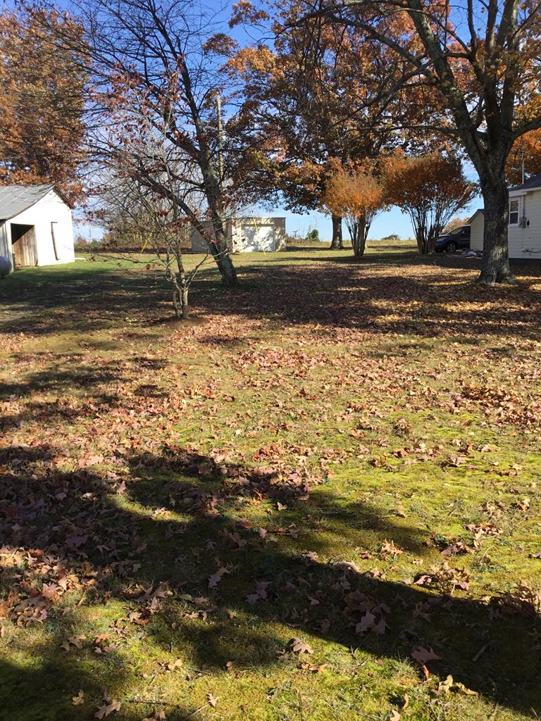 1780 Rocky Mill Road Victoria, VA 23974 - Photo 16 of 16 Gallery Image 16