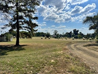 446 County Road 1221 Center, TX 75935 - Photo 2 of 5 a view of yard with green space