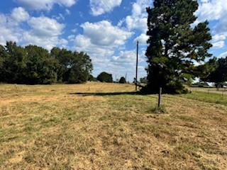 446 County Road 1221 Center, TX 75935 - Photo 4 of 5