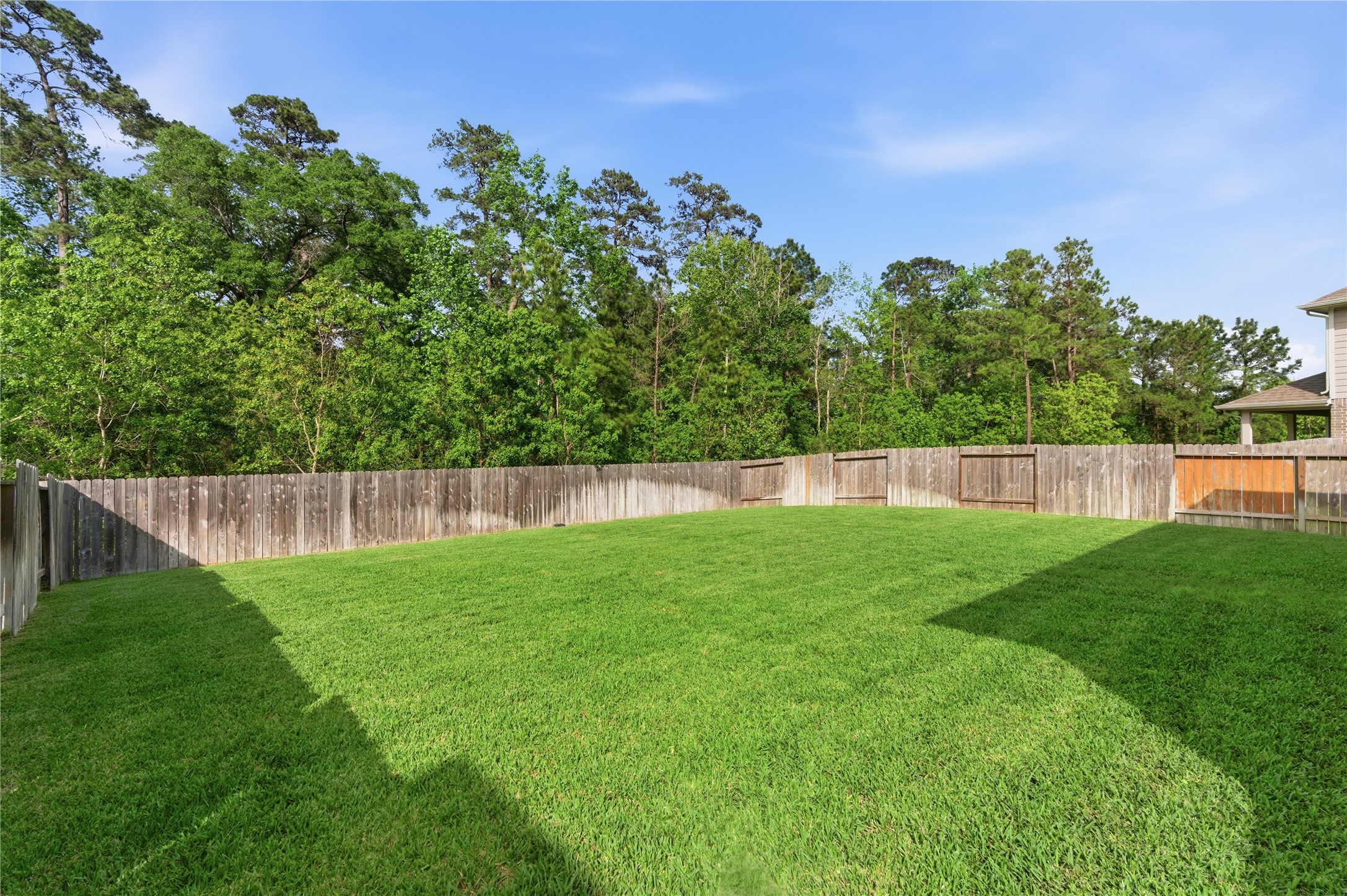 14108 Redfish Lake Conroe, TX 77384 - Photo 29 of 37 a backyard of a house with lots of green space
