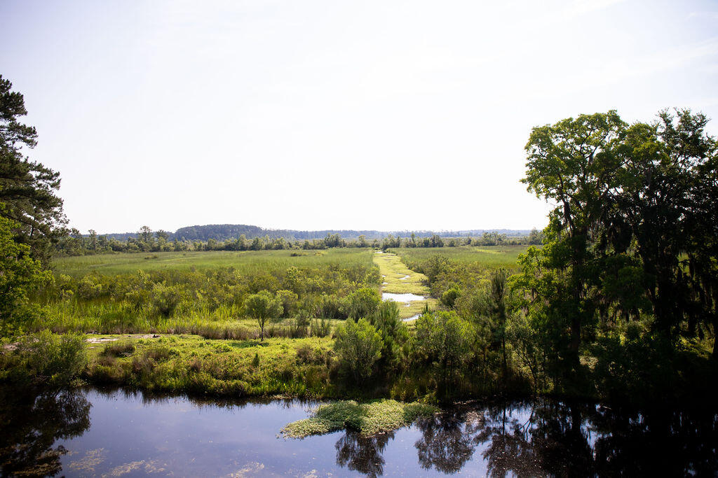 26 Castlebury Road Walterboro, SC 29488 - Photo 23 of 50 IMG_6142