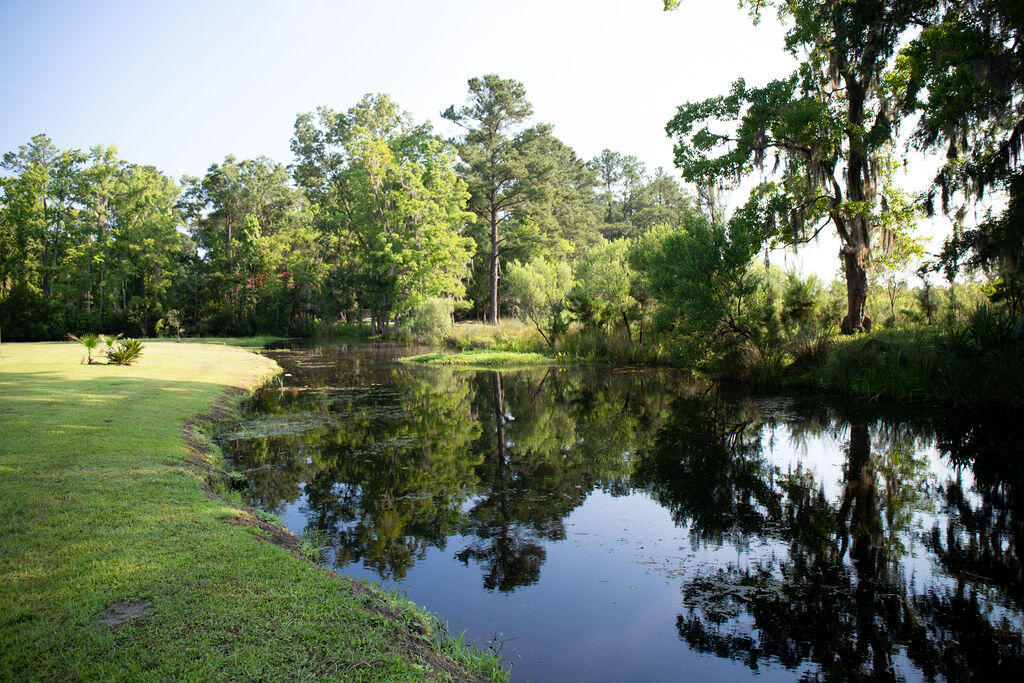 26 Castlebury Road Walterboro, SC 29488 - Photo 48 of 50 IMG_6045