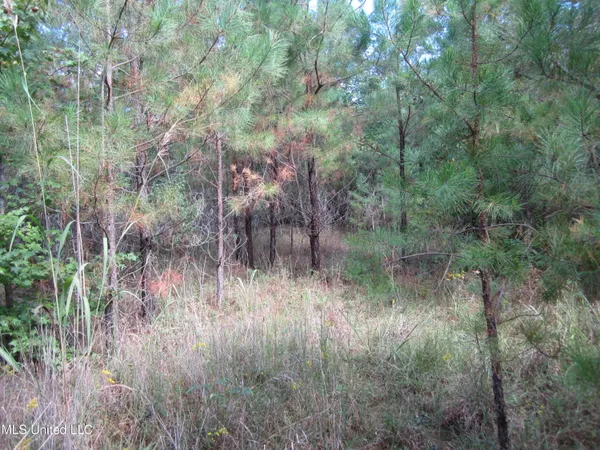$350,000 | 1356 County Road 180, Blue Springs, MS 38828