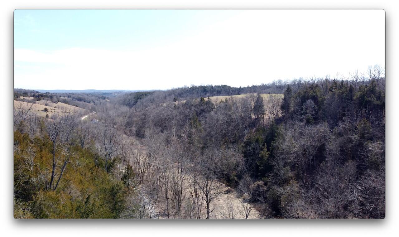 0 Washington Branch Road Owingsville, KY 40360 - Photo 13 of 20 14