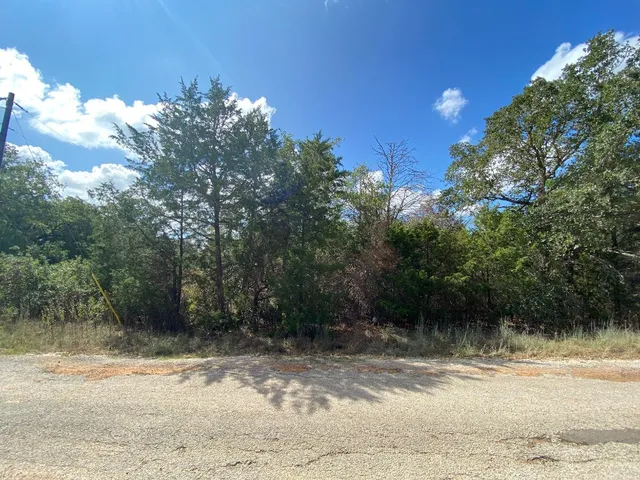 a view of a yard with plants and large trees